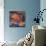 Still Life with Poppy-Malva-Giclee Print displayed on a wall