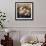 Still Life with Protea-Elizabeth Horning-Framed Giclee Print displayed on a wall