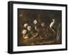 Still Life with Quail, an Owl and a Black-Winged Stilt, C.1656-Paolo Porpora-Framed Giclee Print