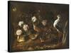 Still Life with Quail, an Owl and a Black-Winged Stilt, C.1656-Paolo Porpora-Stretched Canvas