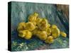 Still Life with Quinces, 1887-1888-Vincent van Gogh-Stretched Canvas