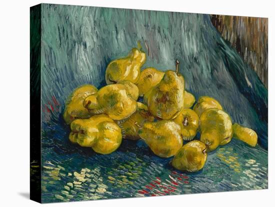 Still Life with Quinces, 1887-1888-Vincent van Gogh-Stretched Canvas