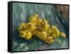 Still Life with Quinces, 1887-1888-Vincent van Gogh-Framed Stretched Canvas