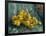 Still Life with Quinces, 1887-1888-Vincent van Gogh-Framed Giclee Print