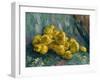 Still Life with Quinces, 1887-1888-Vincent van Gogh-Framed Giclee Print