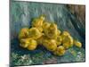 Still Life with Quinces, 1887-1888-Vincent van Gogh-Mounted Giclee Print