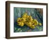 Still Life with Quinces, 1887-1888-Vincent van Gogh-Framed Giclee Print