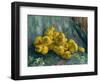 Still Life with Quinces, 1887-1888-Vincent van Gogh-Framed Giclee Print