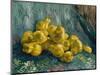 Still Life with Quinces, 1887-1888-Vincent van Gogh-Mounted Giclee Print