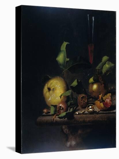 Still Life with Quinces, Medlars and a Glass-Martinus Nellius-Stretched Canvas