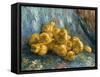 Still-Life With Quinces-Vincent van Gogh-Framed Stretched Canvas