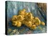 Still-Life With Quinces-Vincent van Gogh-Stretched Canvas