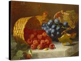 Still Life with Raspberries and a Bunch of Grapes on a Marble Ledge, 1882-Eloise Harriet Stannard-Stretched Canvas