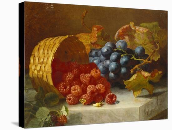 Still Life with Raspberries and a Bunch of Grapes on a Marble Ledge, 1882-Eloise Harriet Stannard-Stretched Canvas