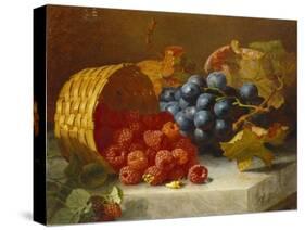 Still Life with Raspberries and a Bunch of Grapes on a Marble Ledge, 1882-Eloise Harriet Stannard-Stretched Canvas