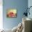 Still Life with Red Apples-William Galvez-Mounted Art Print displayed on a wall