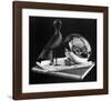 Still Life with Reflecting Sphere-M^ C^ Escher-Framed Art Print