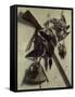 Still-Life With Rifle-Jacobus Biltius-Framed Stretched Canvas