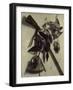 Still-Life With Rifle-Jacobus Biltius-Framed Giclee Print