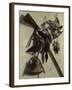 Still-Life With Rifle-Jacobus Biltius-Framed Giclee Print