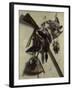 Still-Life With Rifle-Jacobus Biltius-Framed Giclee Print