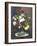 Still Life with Roses in a Glass Vase-Otto Didrik Ottesen-Framed Giclee Print