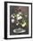 Still Life with Roses in a Glass Vase-Otto Didrik Ottesen-Framed Giclee Print