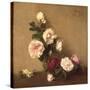 Still Life with Roses of Dijon, 1882 (Oil on Canvas)-Ignace Henri Jean Fantin-Latour-Stretched Canvas
