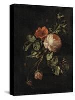 Still Life with Roses-Elias Van Den Broeck-Stretched Canvas