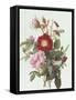 Still Life with Roses-Georgius Jacobus J. van Os-Framed Stretched Canvas