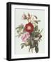 Still Life with Roses-Georgius Jacobus J. van Os-Framed Giclee Print