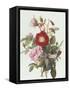 Still Life with Roses-Georgius Jacobus J. van Os-Framed Stretched Canvas