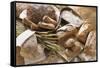 Still Life with Several Types of Bread and Rolls-Eising Studio - Food Photo and Video-Framed Stretched Canvas