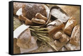 Still Life with Several Types of Bread and Rolls-Eising Studio - Food Photo and Video-Framed Stretched Canvas