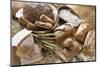 Still Life with Several Types of Bread and Rolls-Eising Studio - Food Photo and Video-Mounted Premium Photographic Print