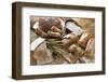 Still Life with Several Types of Bread and Rolls-Eising Studio - Food Photo and Video-Framed Photographic Print