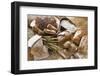 Still Life with Several Types of Bread and Rolls-Eising Studio - Food Photo and Video-Framed Photographic Print