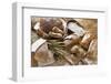 Still Life with Several Types of Bread and Rolls-Eising Studio - Food Photo and Video-Framed Photographic Print