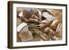 Still Life with Several Types of Bread and Rolls-Eising Studio - Food Photo and Video-Framed Photographic Print