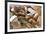 Still Life with Several Types of Bread and Rolls-Eising Studio - Food Photo and Video-Framed Photographic Print