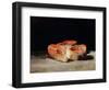 Still Life with Slices of Salmon, 1808-12-Francisco de Goya-Framed Giclee Print