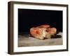 Still Life with Slices of Salmon, 1808-12-Francisco de Goya-Framed Giclee Print