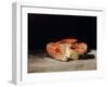 Still Life with Slices of Salmon, 1808-12-Francisco de Goya-Framed Giclee Print