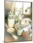 Still Life with Sour Milk Products (Yoghurt, Cream Cheese)-Karl Newedel-Mounted Photographic Print