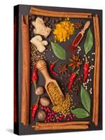 Still Life with Spices and Herbs in the Frame-Andrii Gorulko-Stretched Canvas