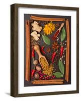 Still Life with Spices and Herbs in the Frame-Andrii Gorulko-Framed Photographic Print