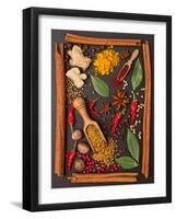 Still Life with Spices and Herbs in the Frame-Andrii Gorulko-Framed Photographic Print