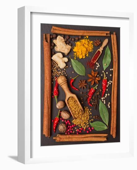 Still Life with Spices and Herbs in the Frame-Andrii Gorulko-Framed Photographic Print