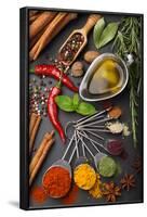 Still Life with Spices and Olive Oil-Andrii Gorulko-Framed Photographic Print