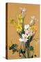 Still Life with Spring Flowers-Jean Benner-Stretched Canvas